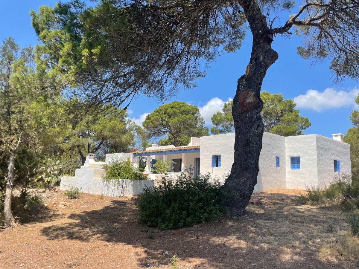 Villa Sa Tanca Des Pla à San Francisco Javier Extérieur photo